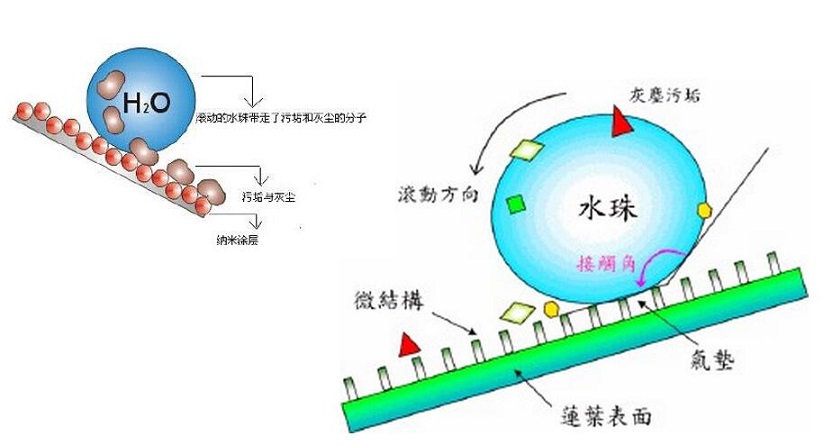 QQ截图20170409162708.jpg